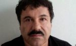 El narco 'Chapo' Guzmán