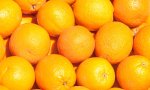 El volumen de naranjas que tiene previsto comprar Mercadona alcanzará las 160.000 toneladas