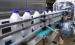 Lactalis y Danone, francesas, son las reinas de la industria láctea española, junto a Nestlé, ILAS y Capsa