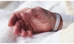 La eutanasia, un crimen contra la vida