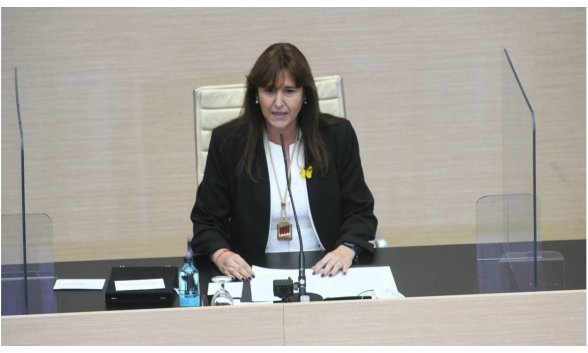 Laura Borrás presidenta del Parlament: hacia el precipici...