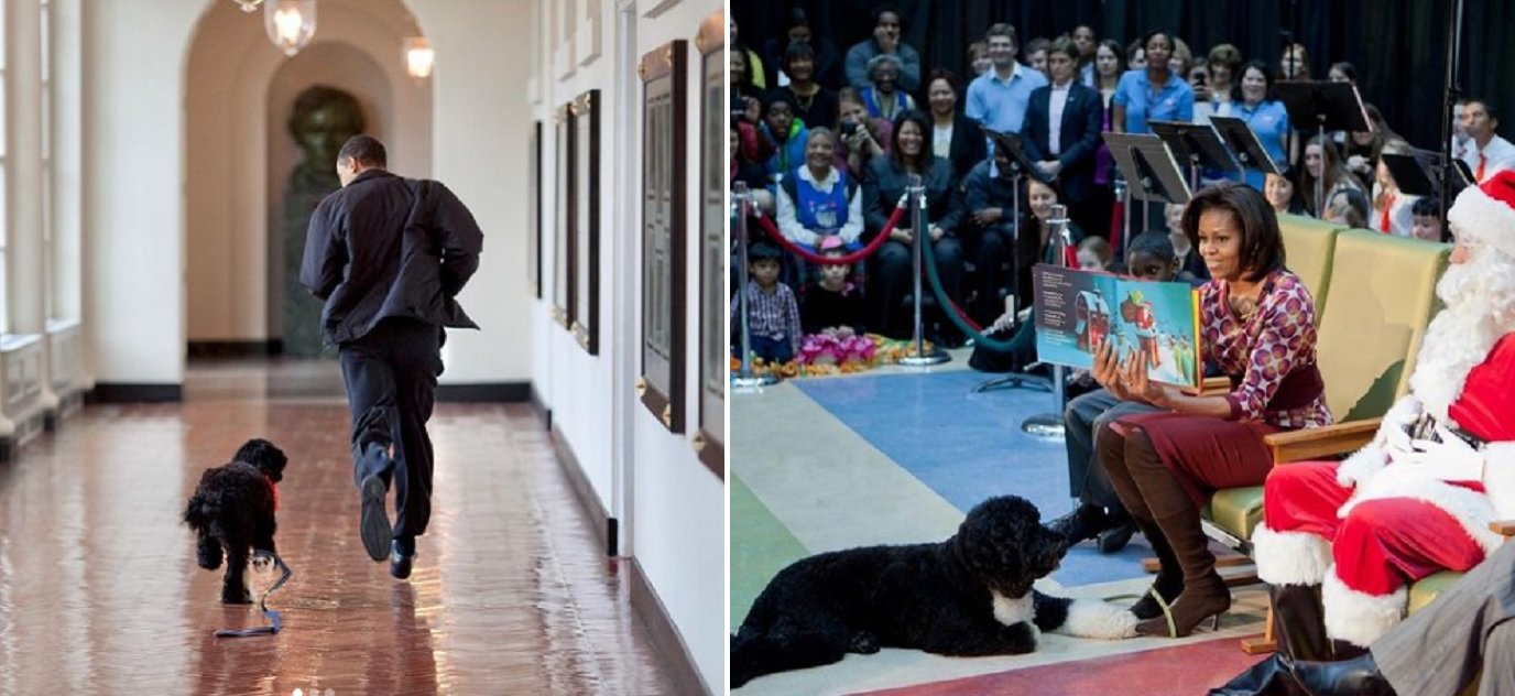 Los Obama lloran la muerte de su perro Bo, pero no la de millones de niños por culpa del aborto: defienden el derecho al aborto Los Obama lloran la muerte de su perro Bo, pero no la de millones de niños por culpa del aborto: defienden el derecho al aborto