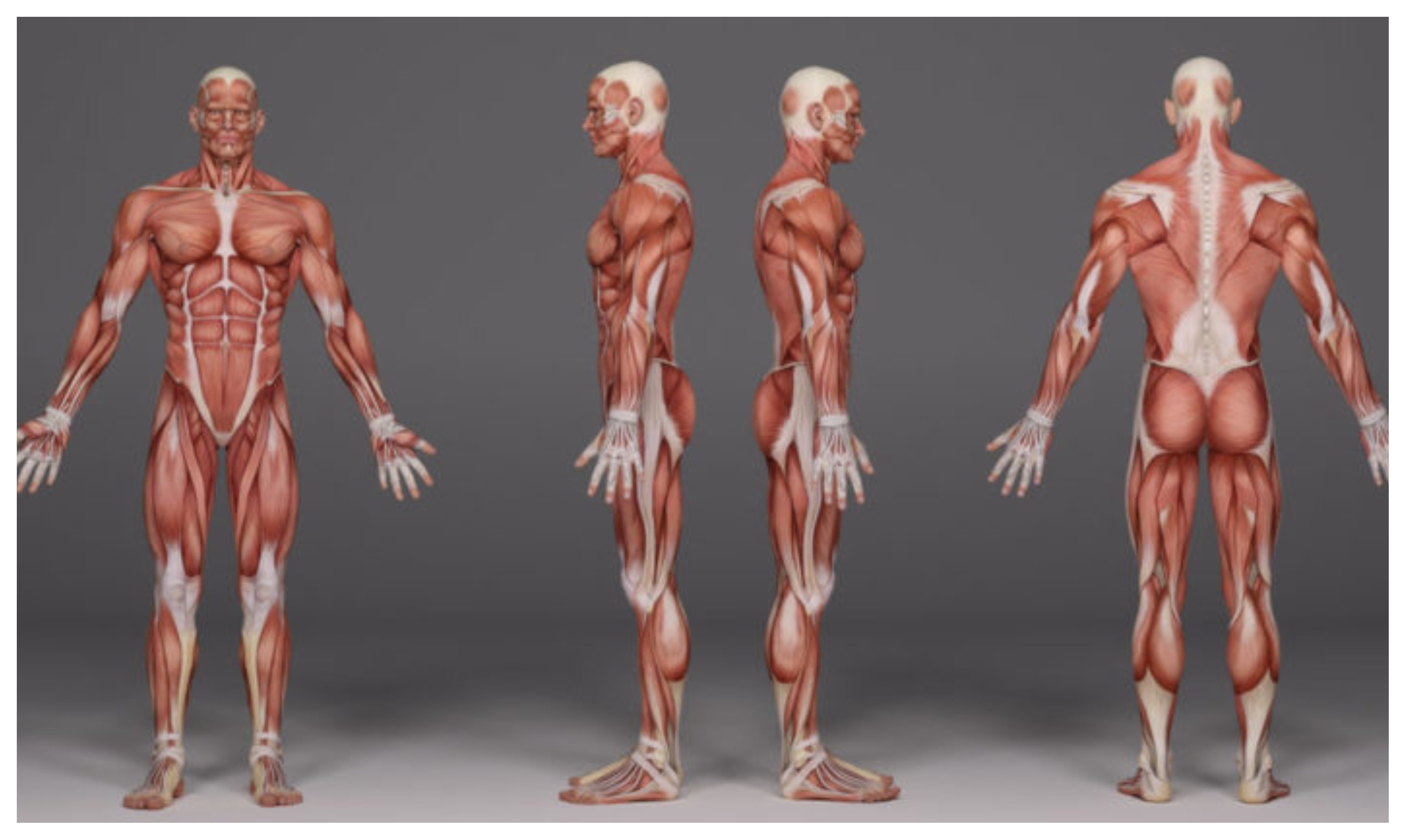 Diario de pandemia. ¿Por qué nuestro sistema inmunitario no responde ante este virus de forma natural? ¿O sí que responde y nos lo están ocultando?