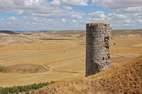 Menos tontunas ecologistas y más plantar árboles (y hacer pantanos)