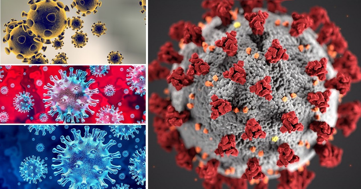 Lo dicho: vivimos en una sociedad de lo más previsible. A lo mejor, gracias a las evidencias científicas. Es verdad que del virus sabemos poquito Lo dicho: vivimos en una sociedad de lo más previsible. A lo mejor, gracias a las evidencias científicas. Es verdad que del virus sabemos poquito
