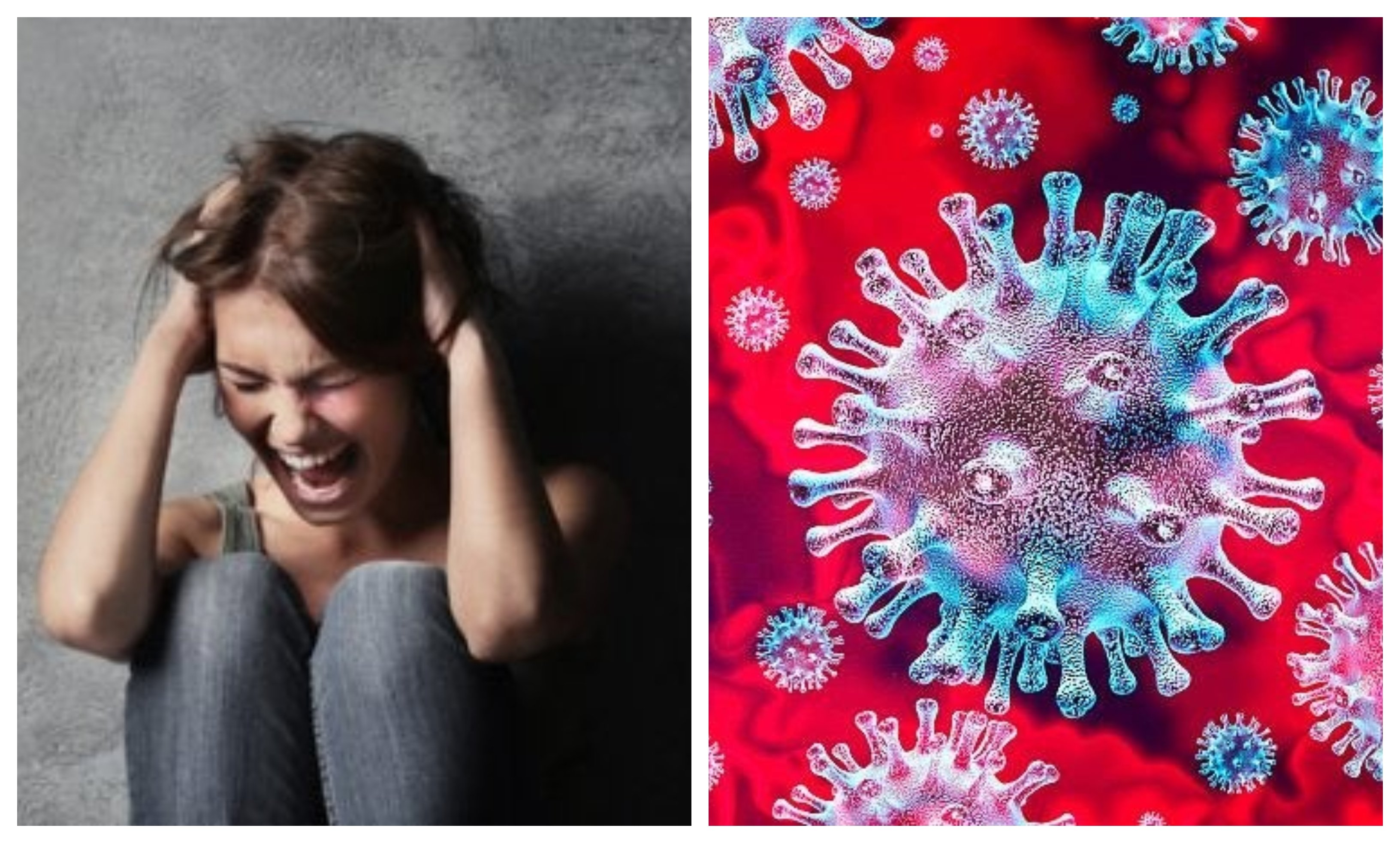 Diario de pandemia. Menos histeria, por favor