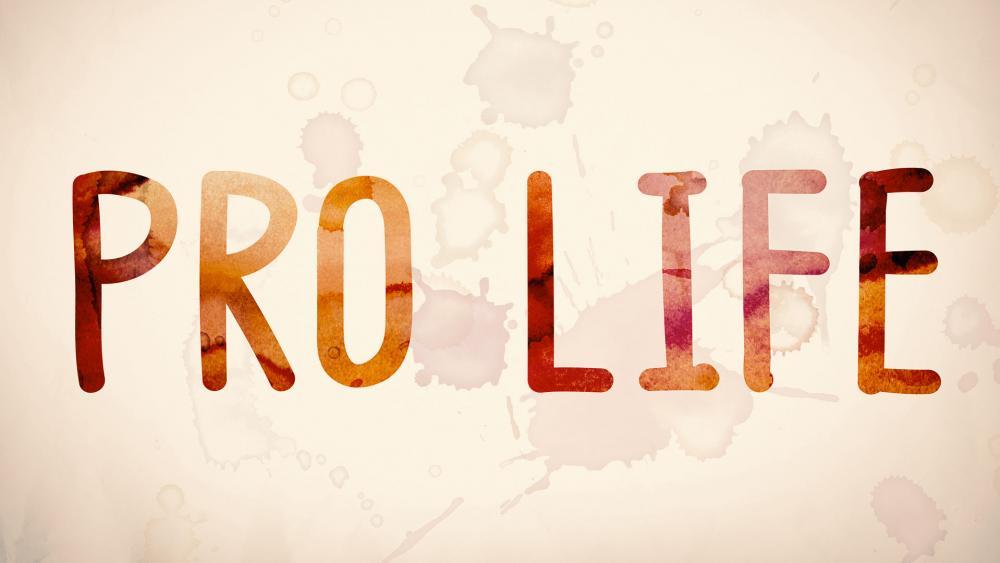 Ciudad Santuario para los No Nacidos Ciudad Santuario para los No Nacidos