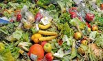 Cada segundo se siguen desperdiciando 41.000 kilos de alimentos, que representan el 8% de los gases de efecto invernadero producidos por las personas, por lo que la apuesta por el residuo cero en el sector alimentario no es baladí