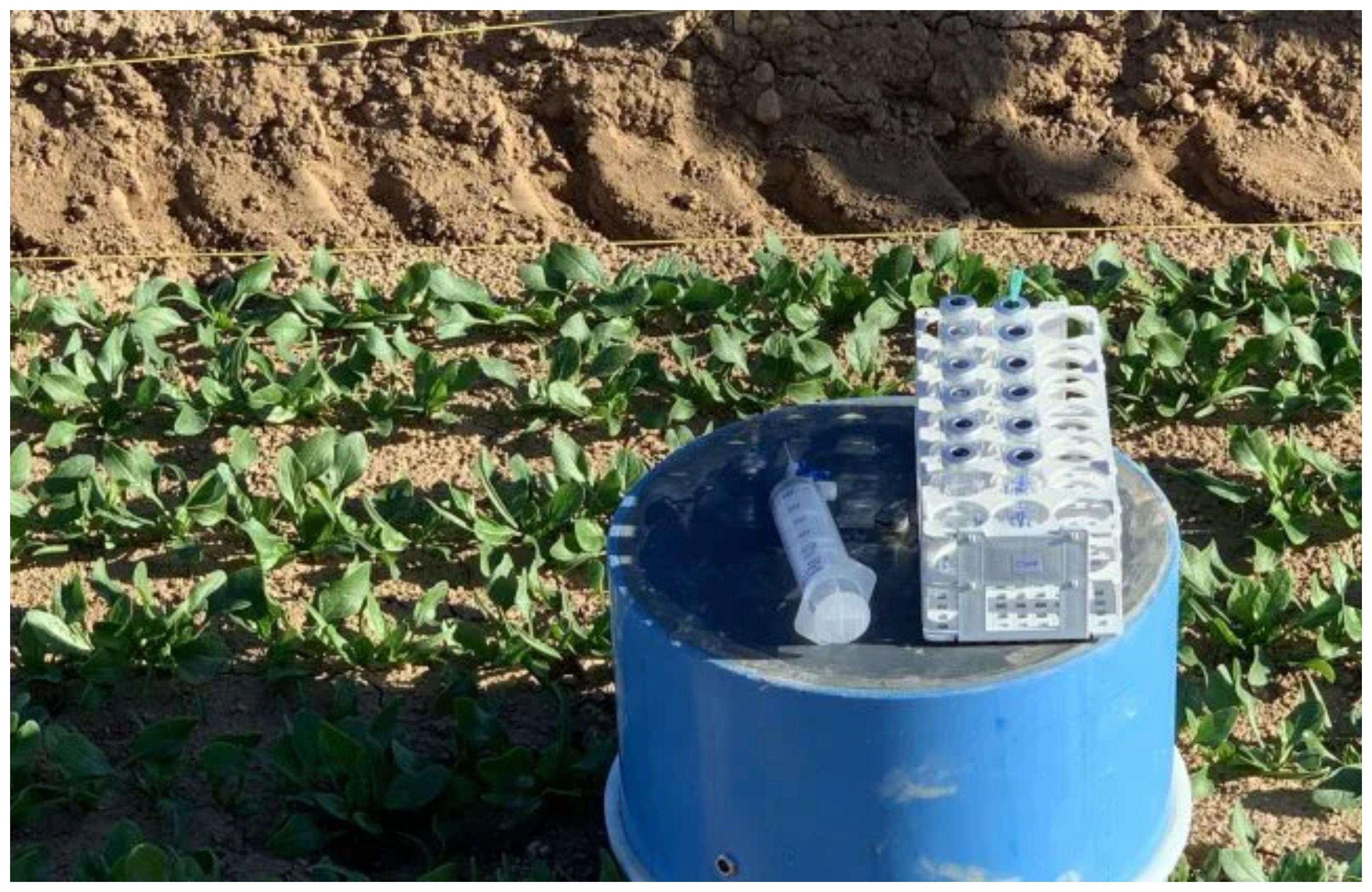 La FAO lanza un mensaje apostando por la agricultura verde, mucho más cara que la tradicional y que no emplea herbicidas, con el consiguiente riesgo para la salud La FAO lanza un mensaje apostando por la agricultura verde, mucho más cara que la tradicional y que no emplea herbicidas, con el consiguiente riesgo para la salud