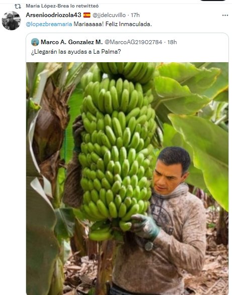 llegarán las ayudas a la palma