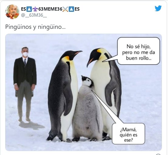 Pinguino