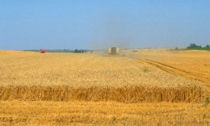 campos de cultivo en Ucrania