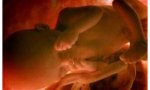 En California se discute un proyecto de ley se permitiría dejar morir a los bebés hasta 6 semanas después de su nacimiento