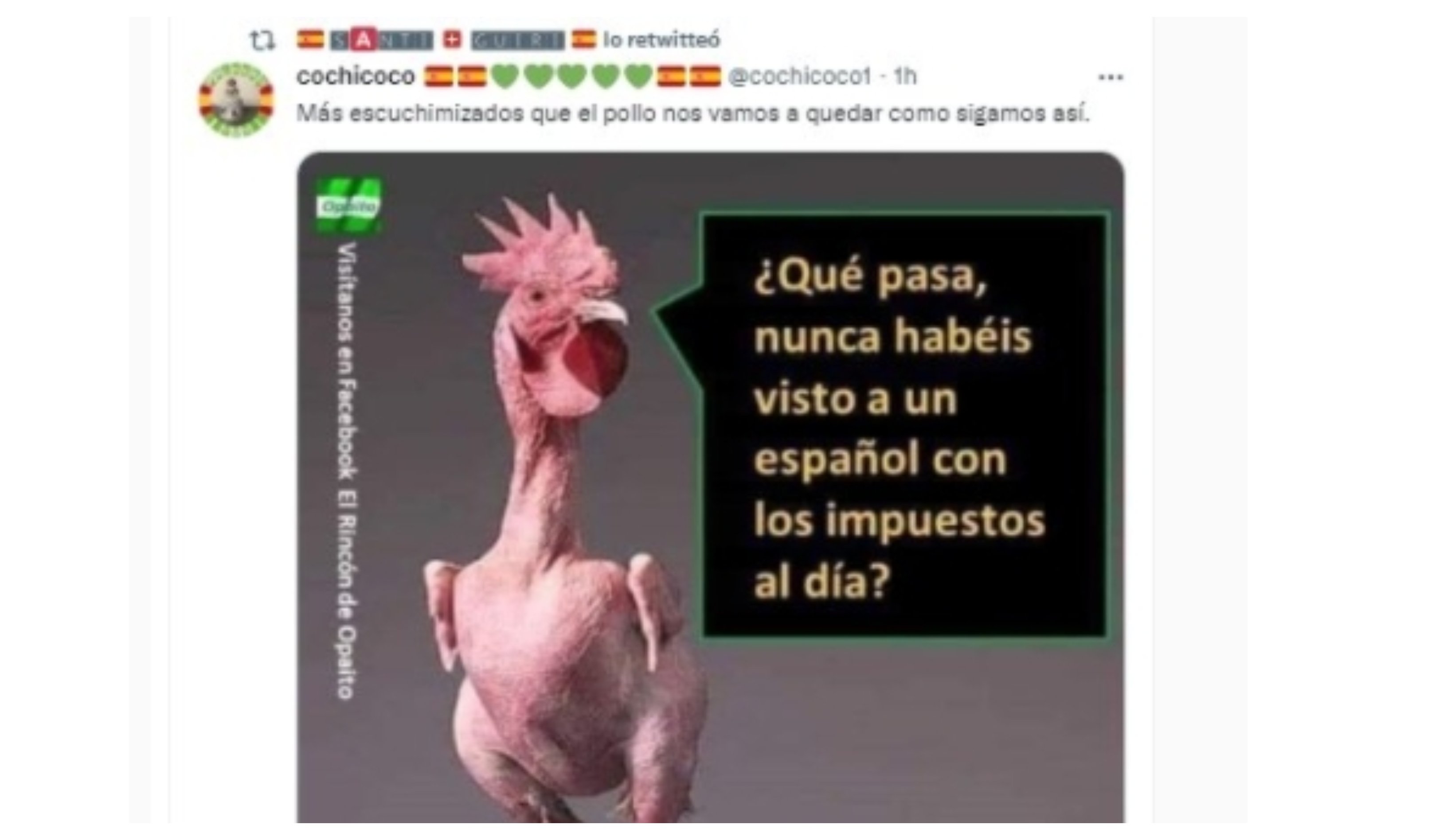 impuestos (1) impuestos (1)