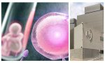 desde que se iniciara la FIV en España, se han congelado 376.445 embriones humanos en 71 centros asociados a la SEF, de los cuales 173.000 son óvulos fecundados de 'pacientes' FIV...