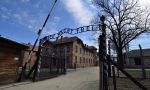 Liberación de Auschwitz. Margallo se olvidó de los católicos