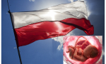 Una propuesta que, tras horas de debate, la Cámara Baja del Parlamento polaco ha rechazado con 265 votos en contra y 175 a favor