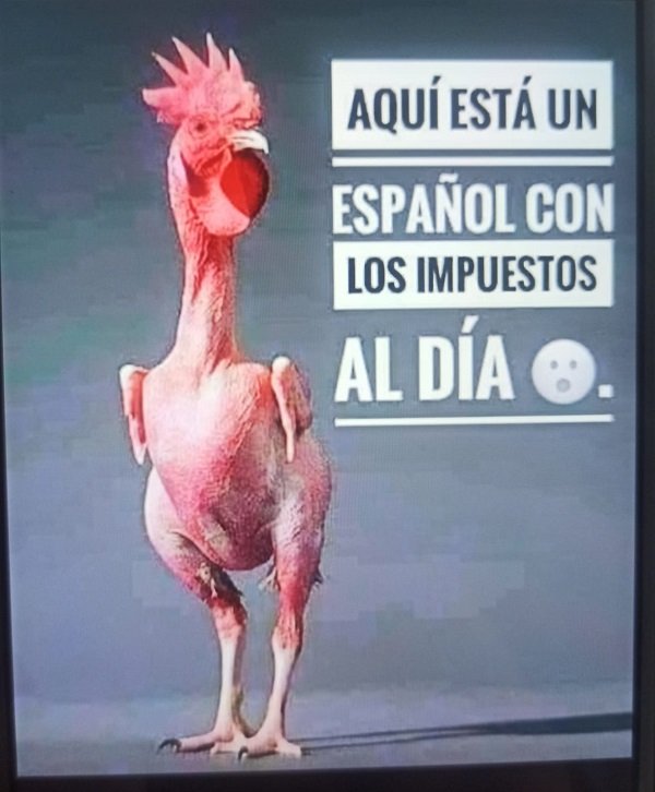 WhatsApp Image 2022 08 18 at 7.30.10 PM (2)