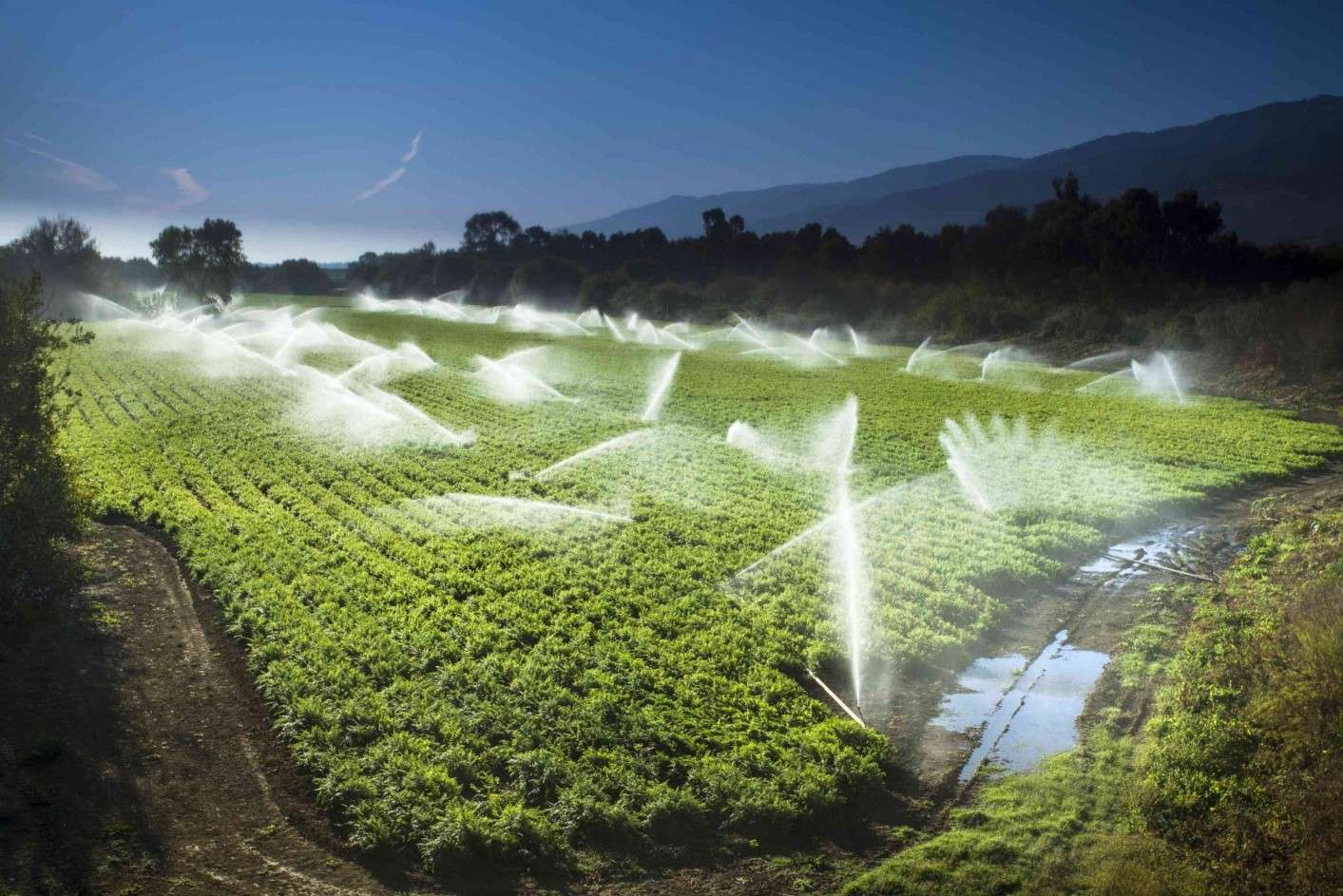 La agricultura consume en nuestro país casi el 70% del agua. La agricultura consume en nuestro país casi el 70% del agua.