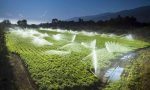 La agricultura consume en nuestro país casi el 70% del agua.