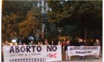 Manifestación contra el aborto ante el Parlamento de Navarra