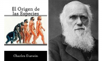 Los próximos a Darwin sí dieron los pasos que el creador de la teoría evolucionista, impresionado por su propia tontuna, no se atrevió a dar