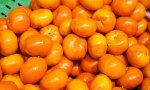 Desde hace años, más del 90% del total de naranjas que comercializa Mercadona son de origen España
