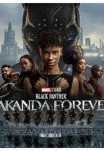 'Black Panther  Wakanda Forever'