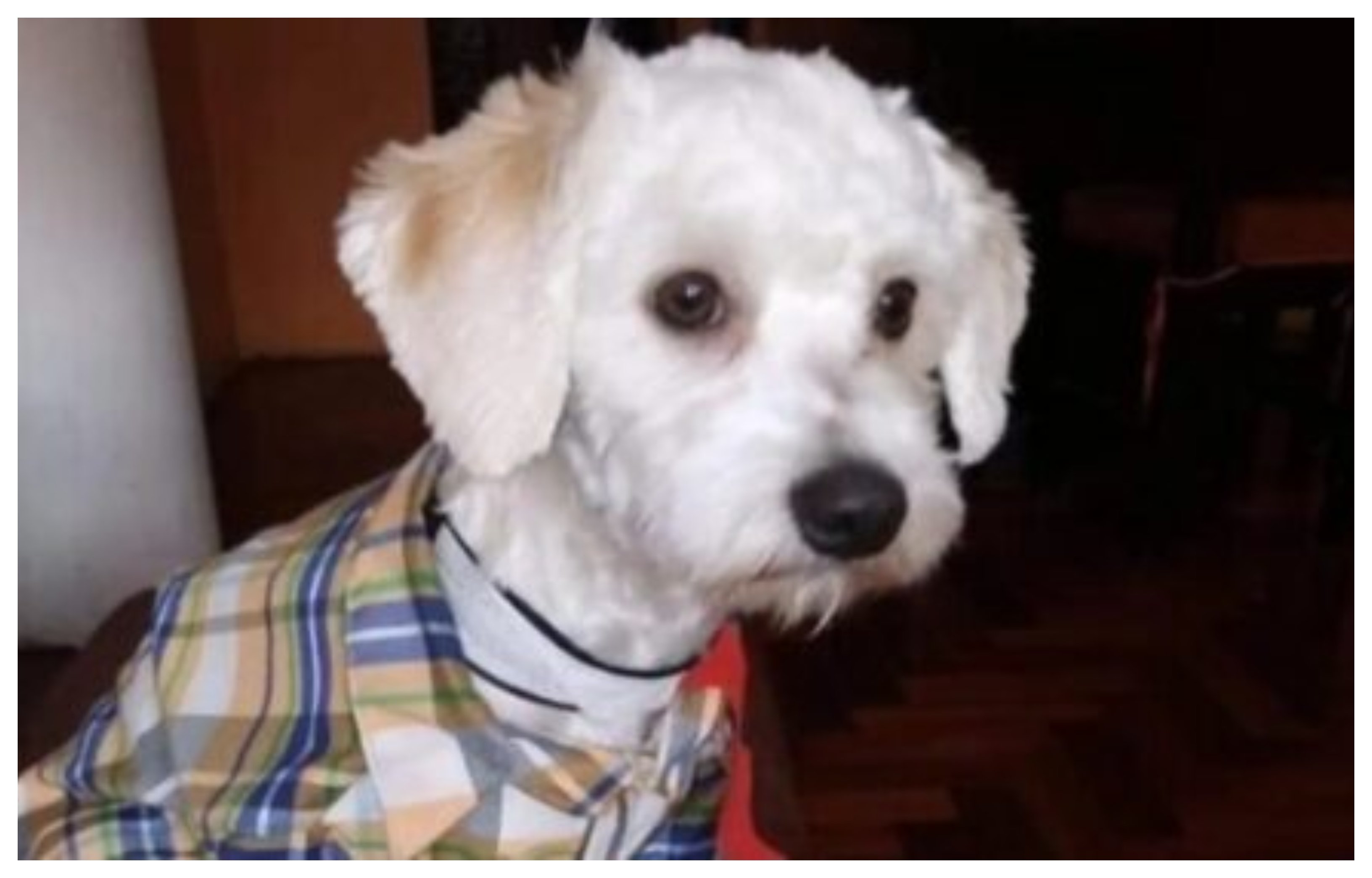 Luno, no te vayas Luno, no te vayas