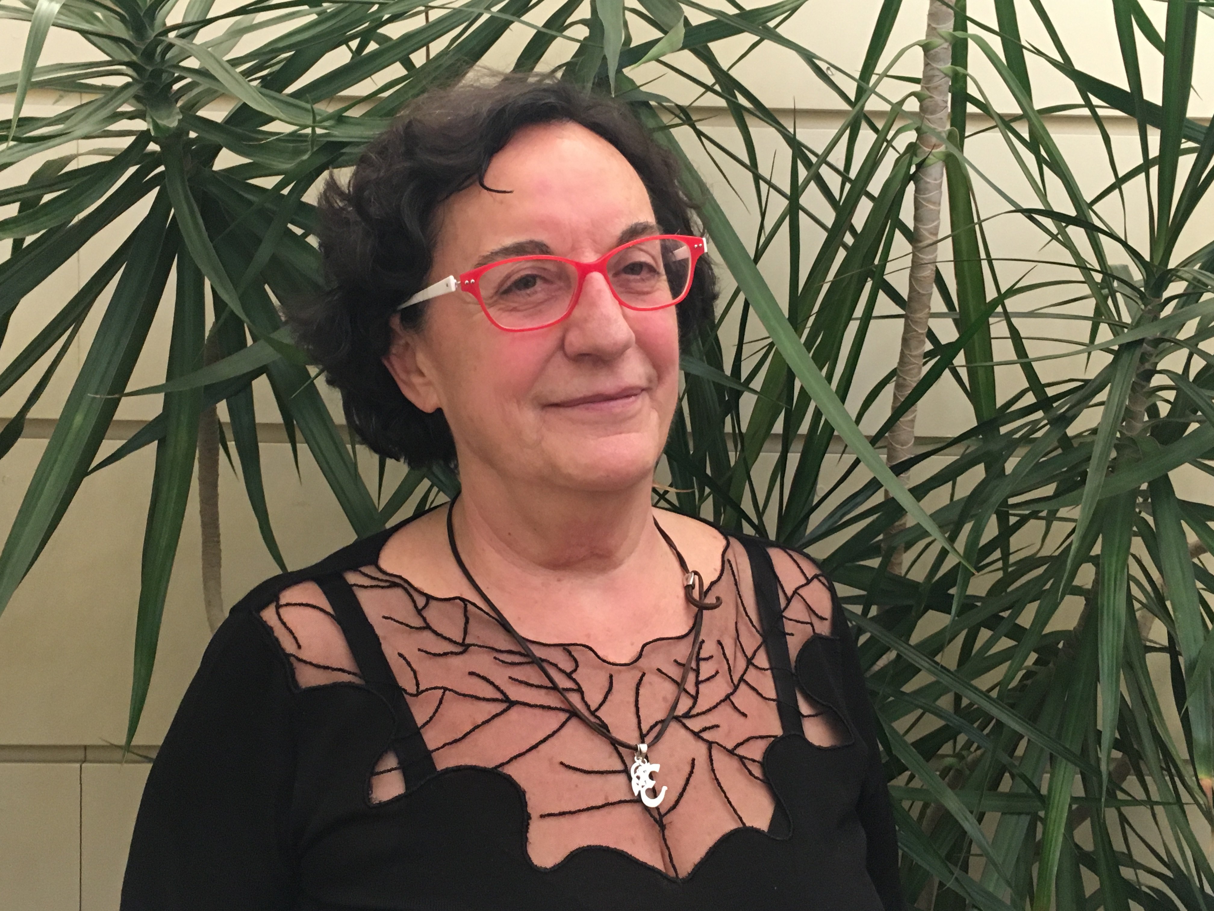 Maria Luisa Balaguer: el Parlamento tiene sus límites y el TC lo puede abordar Maria Luisa Balaguer: el Parlamento tiene sus límites y el TC lo puede abordar