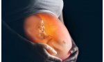 Los mismos que defienden el derecho al aborto se alegran de que ahora sea obligatorio inscribir a los fallecidos antes de nacer, a partir de la semana 24