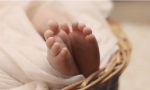 A otra recién nacida la descubrieron en un contenedor de basura con la marca de la mordedura de un animal en la pierna