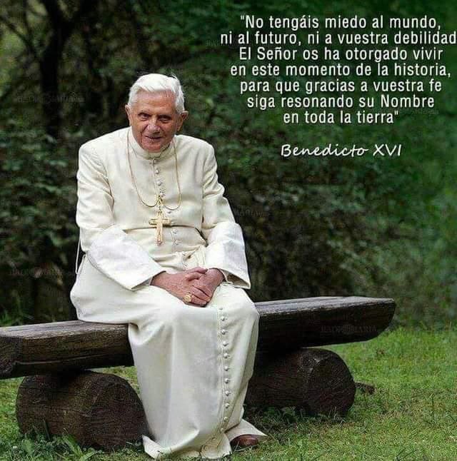Benedicto XVI, el Papa consciente de la apostasía general que vive el mundo del siglo XXI: no tengáis miedo al futuro ni, sobre todo, a vuestra propia debilidad