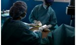 Las llamadas cirugías de “reasignación de género” resultan en una mutilación y esterilización irreversibles, y las investigaciones muestran que aquellos que se someten a ellas tienen tasas de suicidio exponencialmente más altas