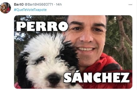 Perro Sánchez