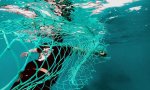 Cada año se vierten entre 8 y 12 millones de toneladas de plástico a los mares y océanos, que se suman o otros residuos (entre ellos, muchísimas redes de pesca). De los residuos marinos, el 80% es plástico y casi la mitad corresponde a objetos de un solo uso