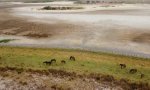 En Doñana hay dificultades, sobre todo por la falta de agua, como se puede ver en esta fotografía del CSIC: la laguna de Santa Olalla se ha secado por segundo año consecutivo