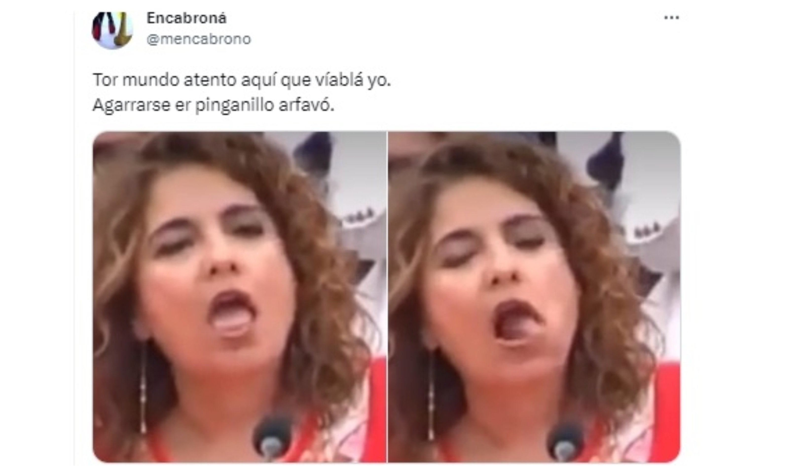 El quinto idioma del Congreso