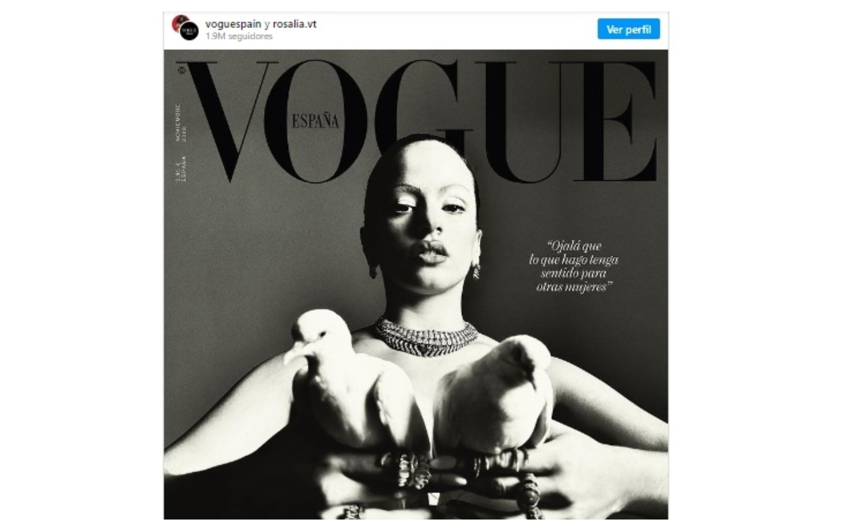 La necedad crece... también en Vogue: Rosalía protagoniza una portada con palomas y la revista aclara ""Los animales de este reportaje estuvieron atendidos en todo momento por un cuidador especializado" La necedad crece... también en Vogue: Rosalía protagoniza una portada con palomas y la revista aclara ""Los animales de este reportaje estuvieron atendidos en todo momento por un cuidador especializado"