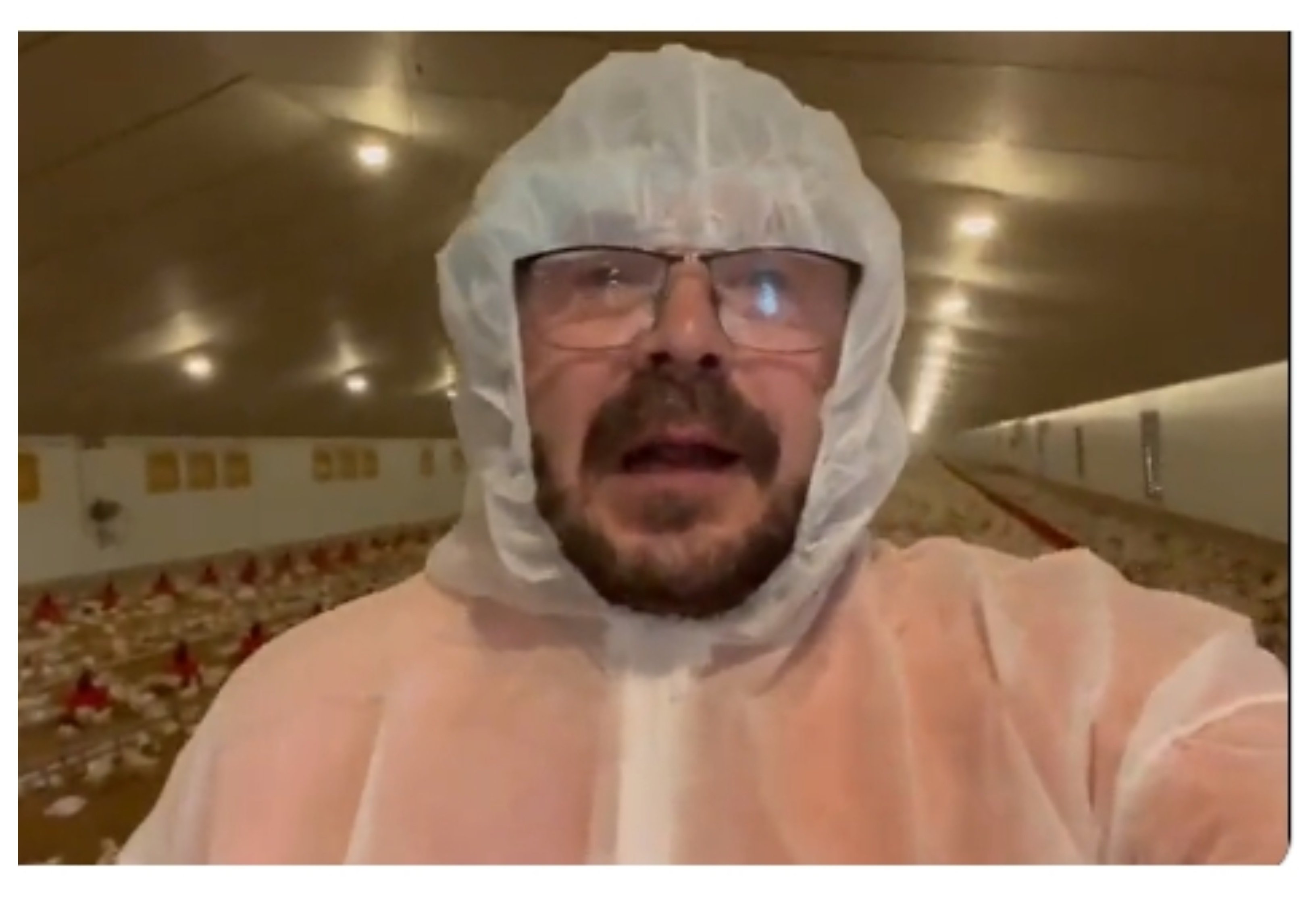 Un avicultor alerta: con su nueva política la Unión Europa persigue vender carne de países terceros, como Marruecos Un avicultor alerta: con su nueva política la Unión Europa persigue vender carne de países terceros, como Marruecos